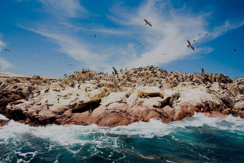 paracas-e-island-ballestas